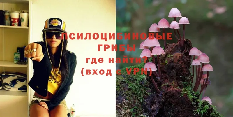 Псилоцибиновые грибы MAGIC MUSHROOMS  mega   Камышлов 